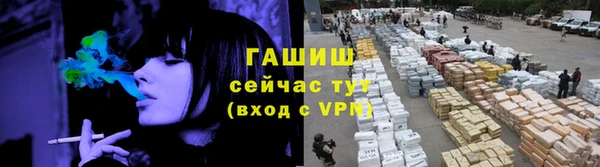 сатива Аркадак
