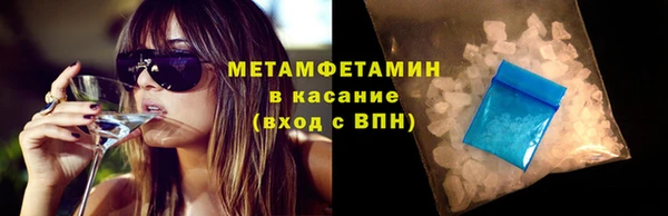 сатива Аркадак