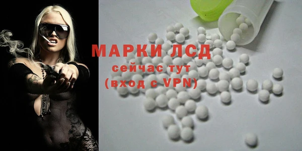 сатива Аркадак