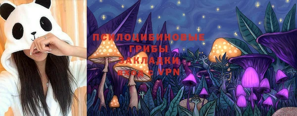 герыч Алзамай